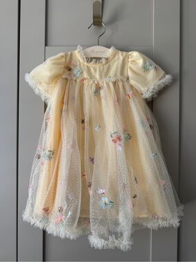 Embroidered Girl’s Butter 🧈 Yellow Dress Spring 🌸 Flowers 🦋 Butterflies tulle